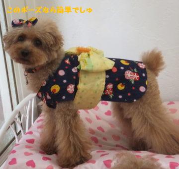 DSCF51561.jpg