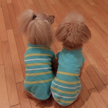 DSCF5161.jpg