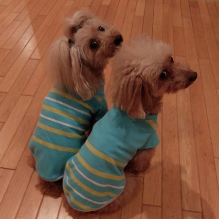 DSCF5163.jpg
