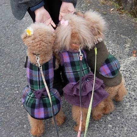 DSCF5185.JPG