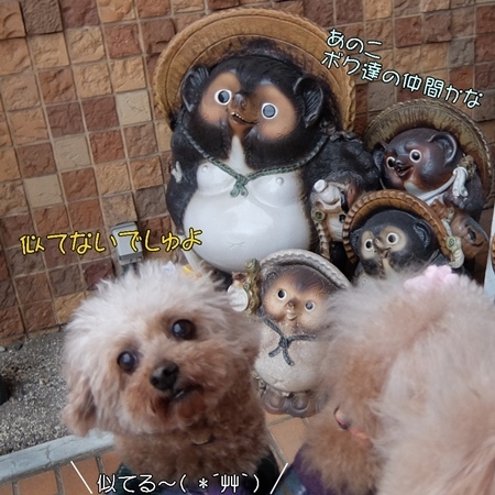 DSCF5198.JPG