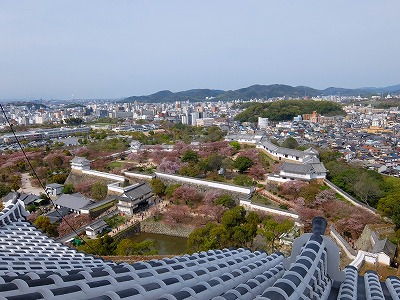 DSCF5237.jpg
