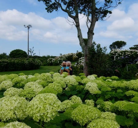 DSCF5245.jpg