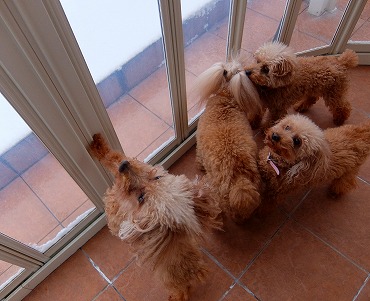 DSCF5270.jpg