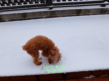 DSCF5271.jpg