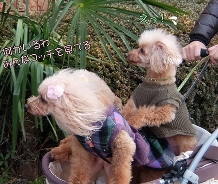DSCF5277.JPG