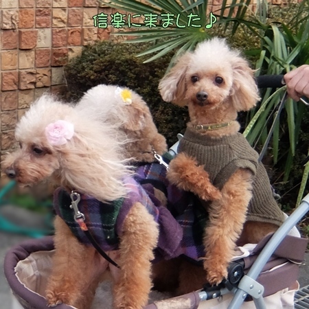 DSCF5278.JPG