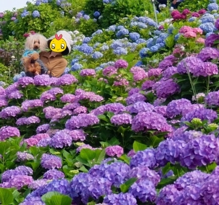 DSCF5282.jpg