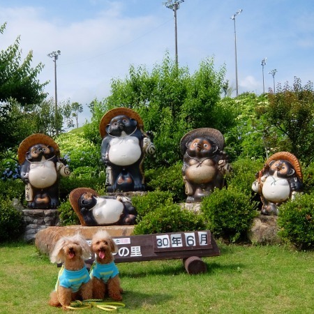 DSCF5288.jpg