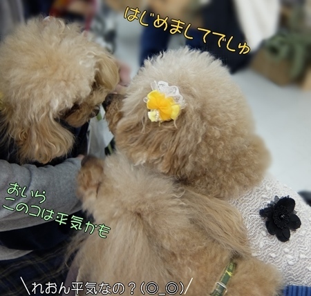 DSCF5308.JPG