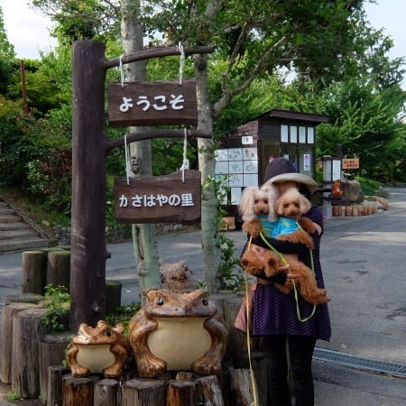 DSCF5331.jpg