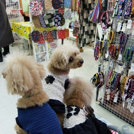 DSCF5332.JPG