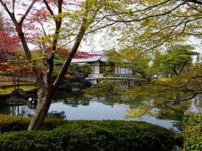 DSCF5337.jpg