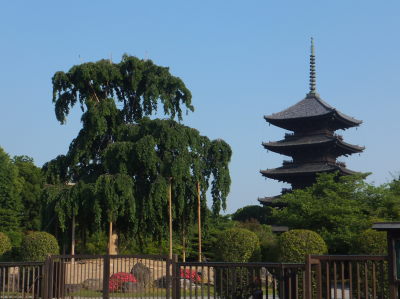 DSCF5345.JPG