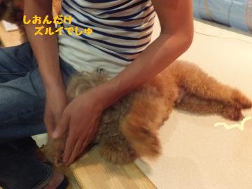 DSCF53671.jpg