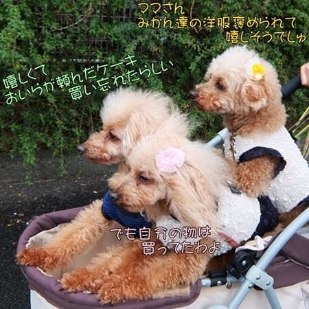 DSCF5368.JPG