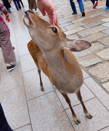 DSCF5398.jpg