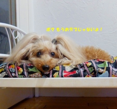 DSCF54111.jpg