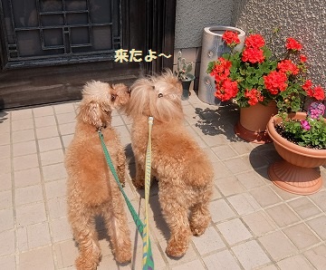 DSCF5459.jpg