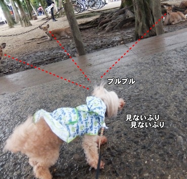 DSCF54651.jpg