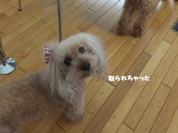 DSCF54891.jpg