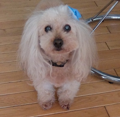 DSCF55051.jpg