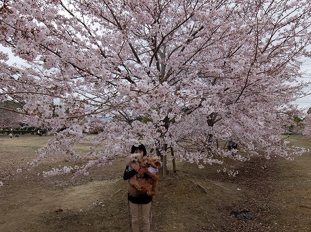 DSCF5515.jpg