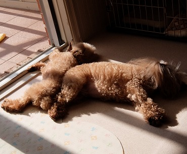 DSCF5522.jpg