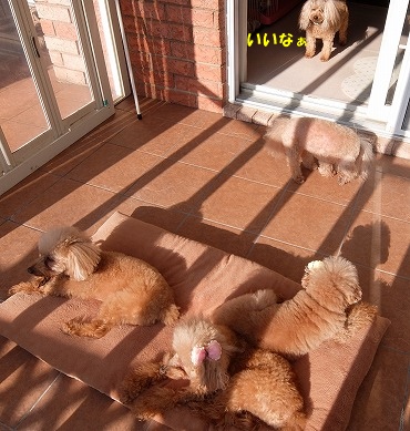 DSCF5565.jpg