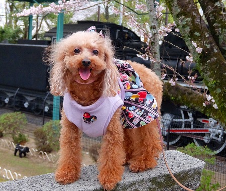 DSCF55811.jpg