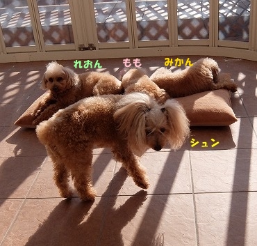 DSCF5585.jpg