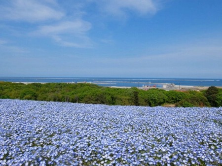 DSCF5599.jpg