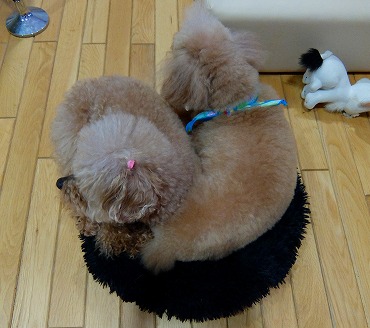DSCF5610.jpg