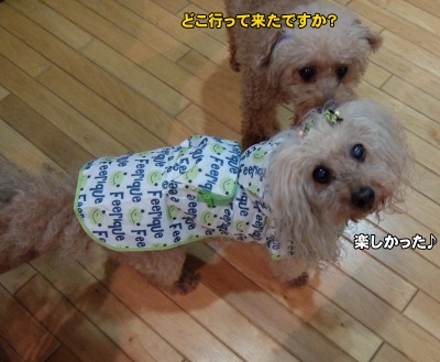 DSCF5613.jpg