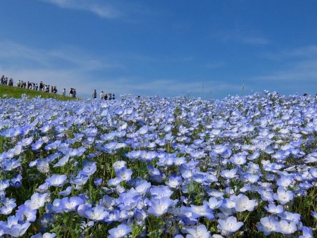 DSCF5614.jpg