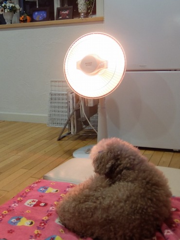 DSCF5636.jpg