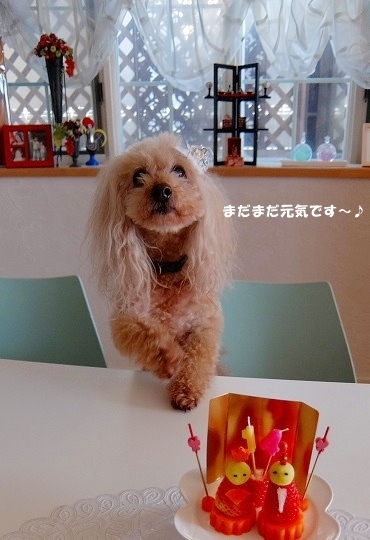 DSCF56981.jpg