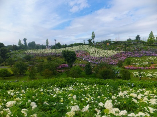 DSCF5797.jpg