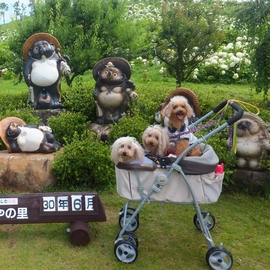 DSCF5801.jpg