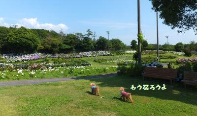 DSCF58361.jpg