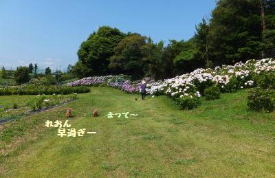 DSCF58511.jpg