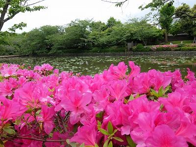 DSCF5901.jpg