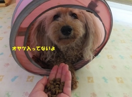 DSCF5941.jpg