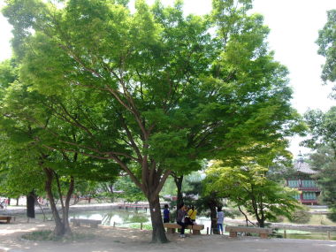 DSCF5971.jpg