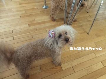 DSCF59781.jpg