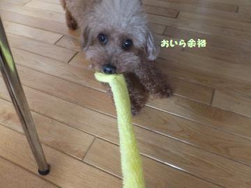DSCF60291.jpg