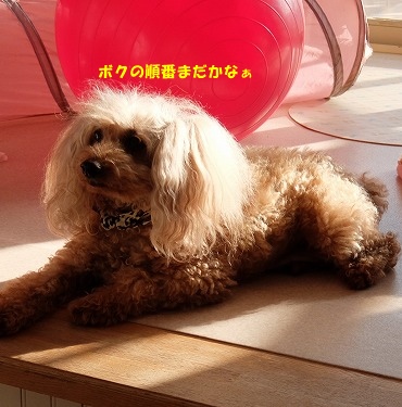 DSCF6080.jpg