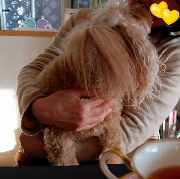 DSCF60831.jpg