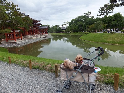 DSCF6126.jpg