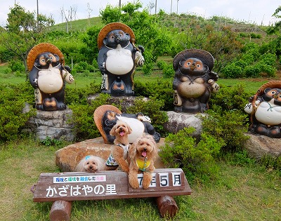 DSCF6127.jpg